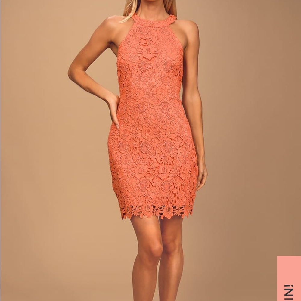 Love Poem Coral Orange Lace Mini Dress
Lulus